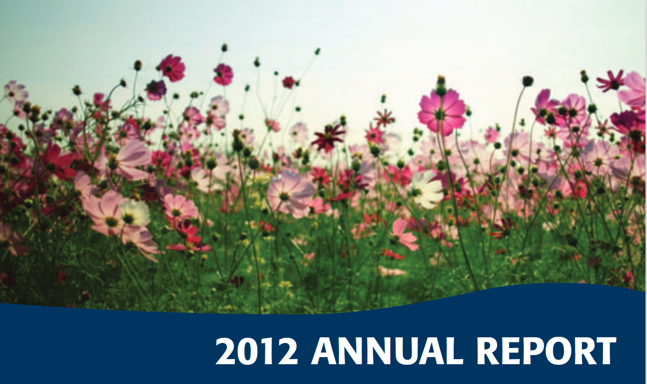 2012-Annual-report-cover.png (1.09 MB)